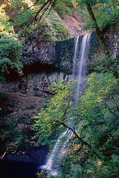 Lower Falls - Silver Falls State Park, Western Oregon (109191 bytes) www.jeffkrewson.com