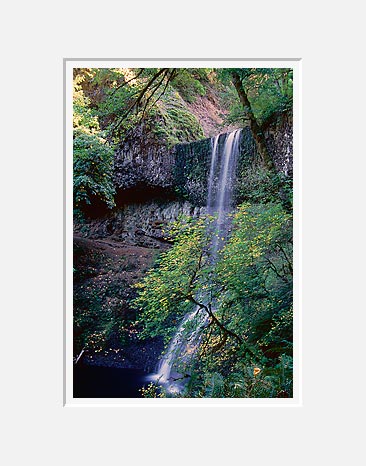 Lower Falls - Silver Falls State Park, Western Oregon (41863 bytes)
